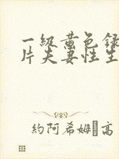 一级黄色录像影片夫妻性生活影片视频