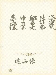 梦中那片海晓梅怀孕是第几集