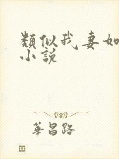 类似我妻如奴的小说