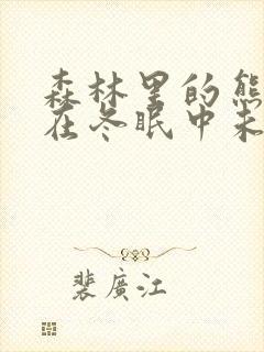 森林里的熊先生在冬眠中未