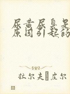 尿黄尿臭是什么原因引起的