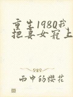 重生1980我把妻女宠上天