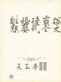 离婚后霸总天天想娶我全文阅读免费封面