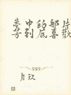 梦中的那片海叶芳到底喜欢谁