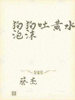 狗狗吐黄水带点泡沫