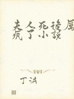 夫人死后厉总他疯了小说封面