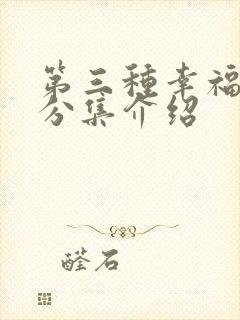 第三种幸福剧情分集介绍