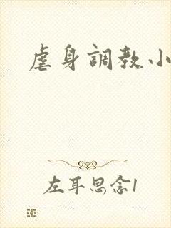 虐身调教小说封面