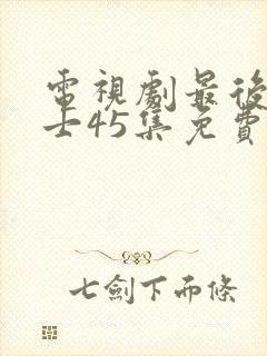 电视剧最后的战士45集免费观看封面