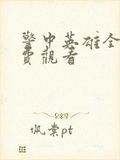 警中英雄全集免费观看