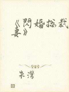 《闪婚总裁契约妻》