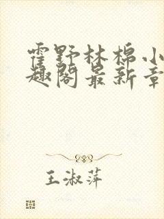 霍野林棉小说笔趣阁最新章节更新封面