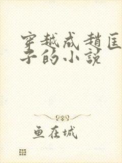 穿越成赵匡胤儿子的小说