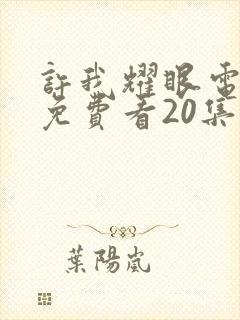 许我耀眼电视剧免费看20集