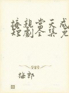 接亲当天成陌路短剧全集免费观看