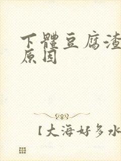 下体豆腐渣白带原因