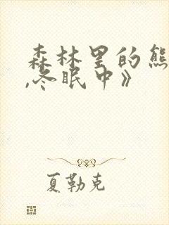 森林里的熊先生,冬眠中》封面