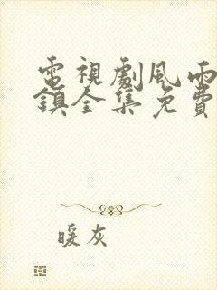 电视剧风雨桃花镇全集免费观看