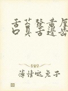 舌苔发黄厚口苦口臭舌边齿痕