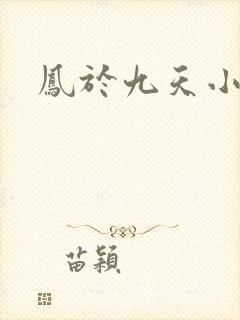 凤于九天小说