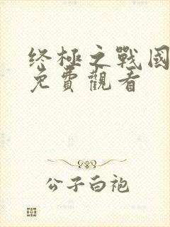 终极之战国语版免费观看