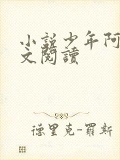 小说少年阿斌全文阅读