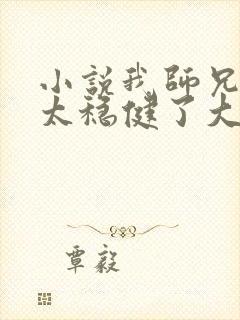 小说我师兄实在太稳健了大结局封面