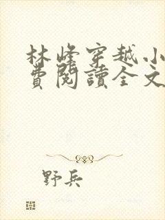 林峰穿越小说免费阅读全文最新章节