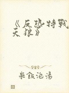 《反恐特战队之天狼》封面