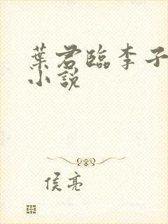 叶君临李子染的小说