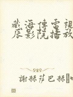 藏海传电视剧星辰影院播放