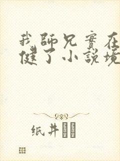 我师兄实在太稳健了小说境界划分