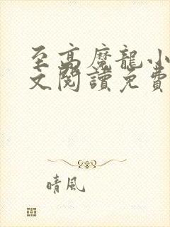 至高魔龙小说全文阅读免费无弹窗