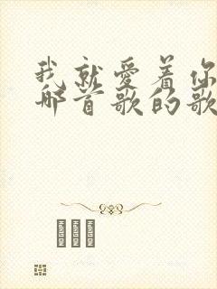 我就爱着你,是哪首歌的歌词