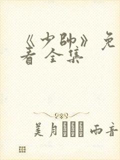 《少帅》免费观看 全集