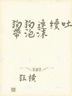 狗狗连续吐黄水带泡沫封面