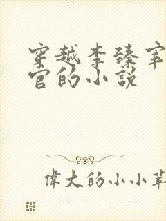 穿越李臻宰相辞官的小说