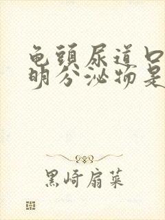 龟头尿道口有透明分泌物是怎么回事