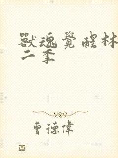 兽魂觉醒林渊第二季