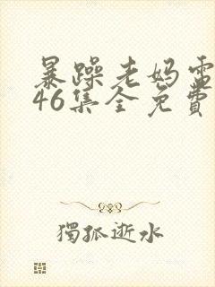 暴躁老妈电视剧46集全免费播放