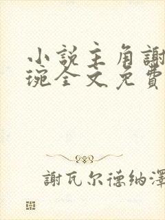 小说主角谢宁卫琬全文免费阅读