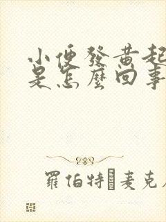 小便发黄起泡沫是怎么回事封面