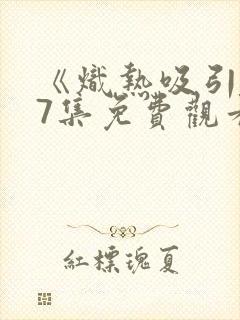 《炽热吸引》17集免费观看