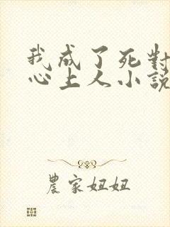 我成了死对头的心上人小说完整版封面