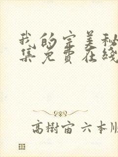 我的完美秘书全集免费在线观看