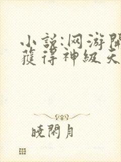 小说:网游开局获得神级天赋