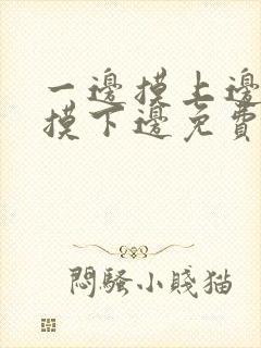 一边摸上边一边摸下边免费视频