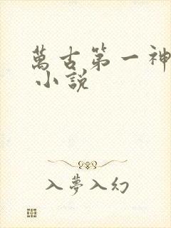 万古第一神有声 小说