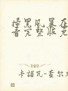 扫黑风暴在线观看完整版免费观看