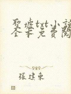 圣墟txt小说全本免费阅读封面